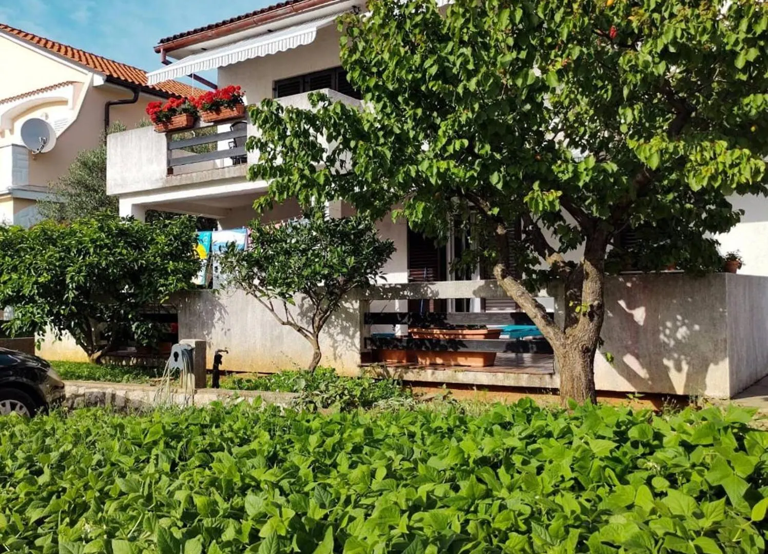 Cute Apartment Marina In The City Of Krk Krk Town